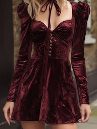 Burgundy Velvet Puff Sleeve Dress With Tie Details