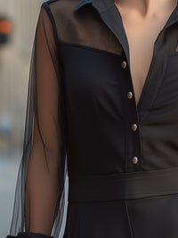 Sheer Panel Button-Front Collared Blouse