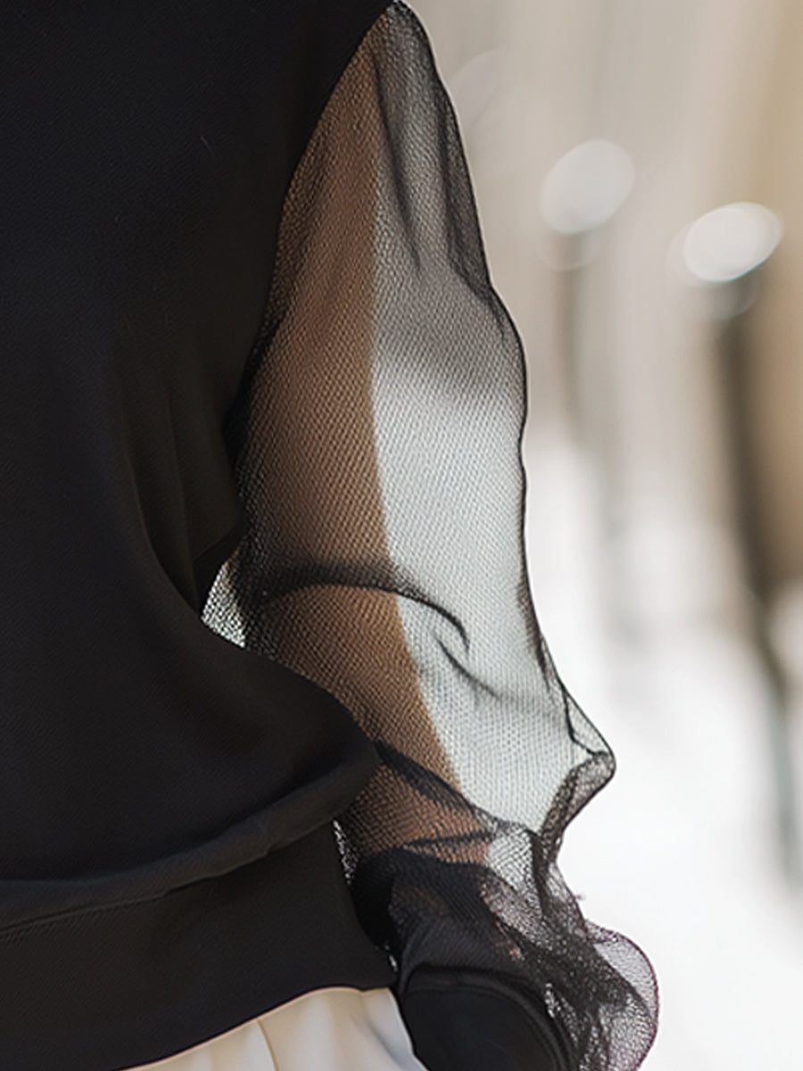 Black Sheer Mesh Sleeve Sweatshirt Top