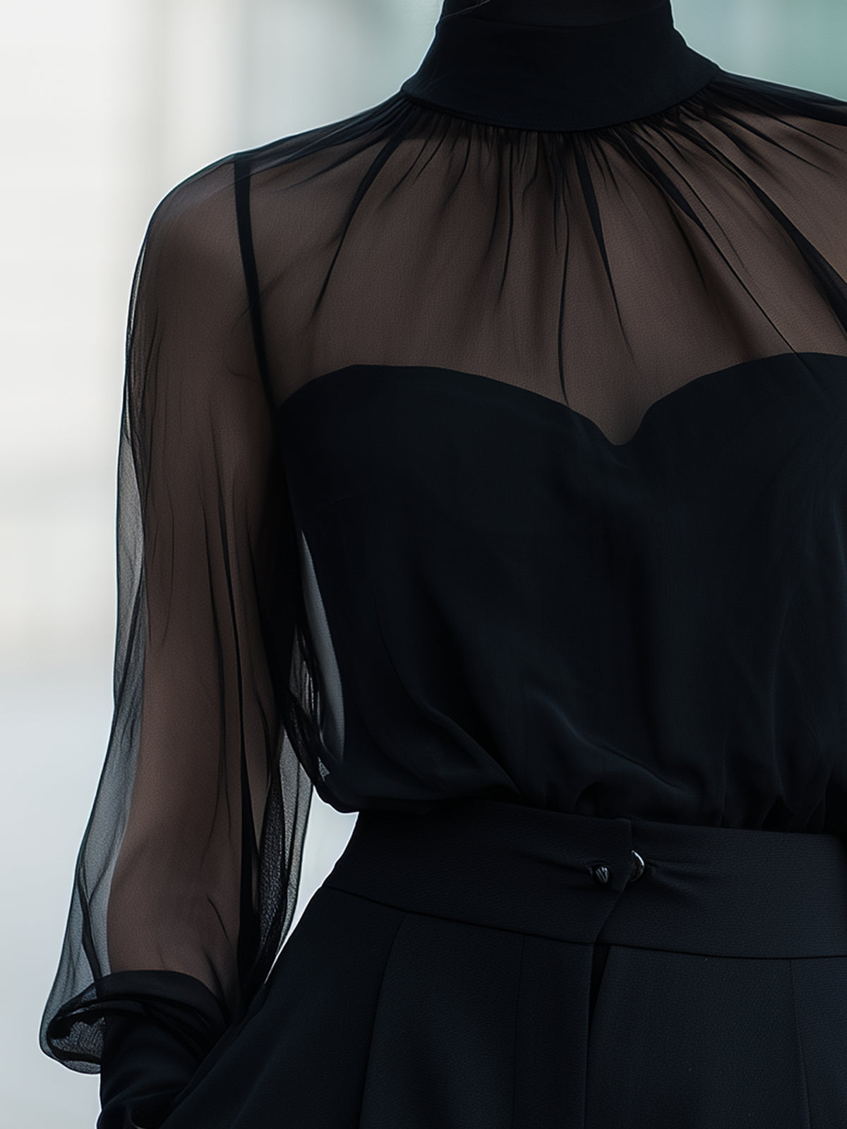 Sheer High-Neck Long Sleeve Elegant Top