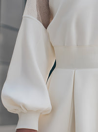 Mesh-Panel Balloon Sleeve Skater Dress