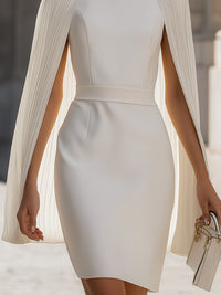Pleated Cape Sleeve Mini Dress