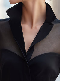 Sheer Mesh Panel Collared Evening Blouse
