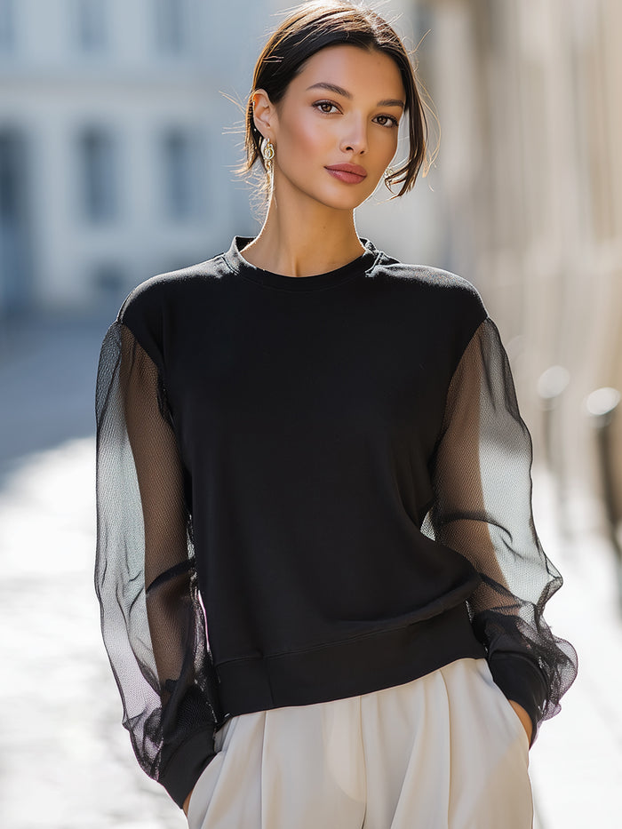 Black Sheer Mesh Sleeve Sweatshirt Top