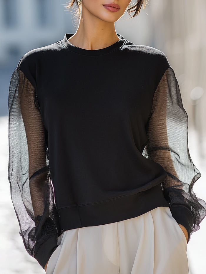Black Sheer Mesh Sleeve Sweatshirt Top