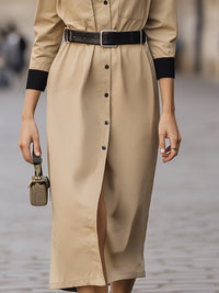 Contrast Collar Trench Dress