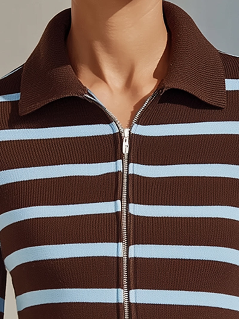 Brown And Blue Striped Knit Zipper Cardigan