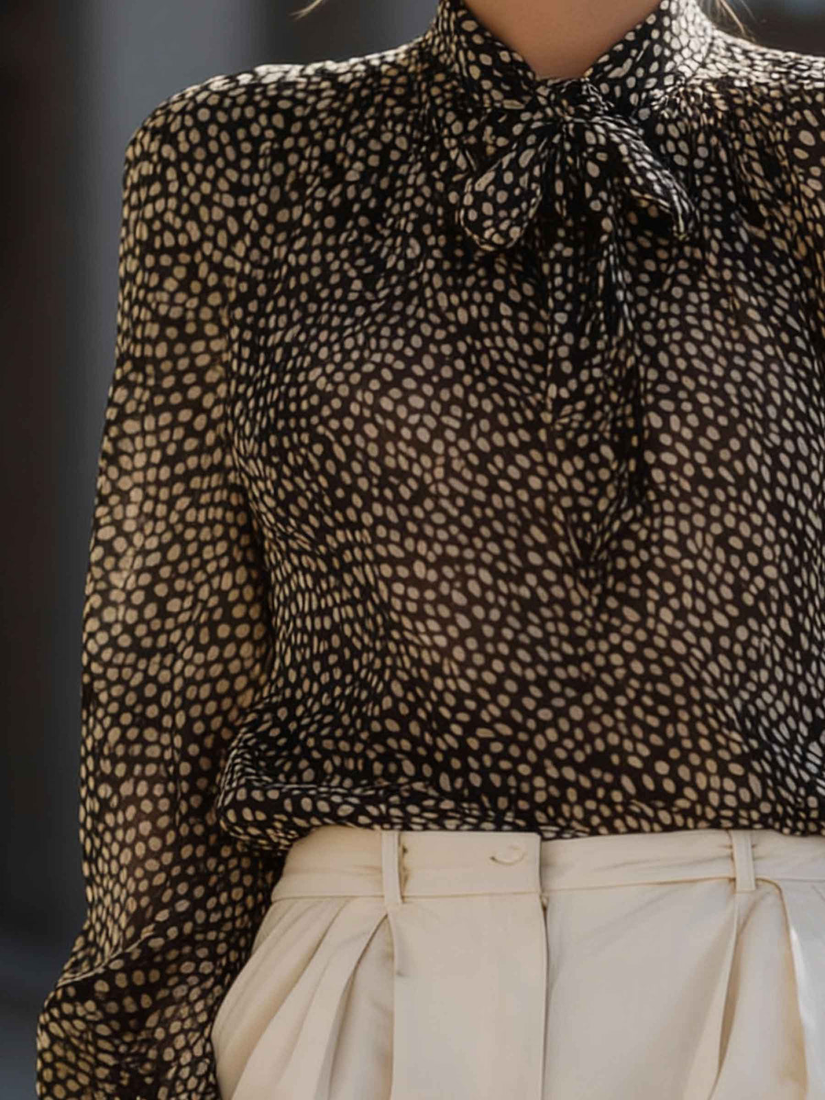 Polka Dot Tie-Neck Sheer Blouse